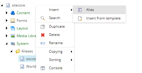 insert options ok.png